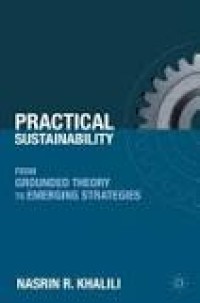 Practical Sustainability: From Grounded Theory to  Emerging Strategies