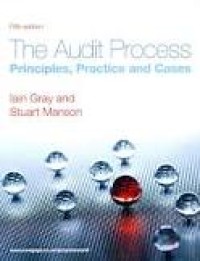 The Audit Process: Principles, Practice and Cases