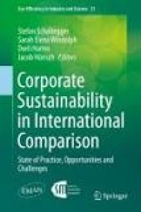 Corporate Sustainability: in International Comparison State of Practice, Opportunities and Challenges