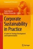 Sampul Corporate Sustainability in Practice: A Guide for Strategy Development and Implementation