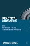 Sampul Practical Sustainability: From Grounded Theory to Emerging Strategies
